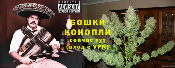 СК Медногорск
