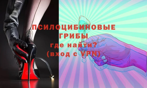 спайс Мегион
