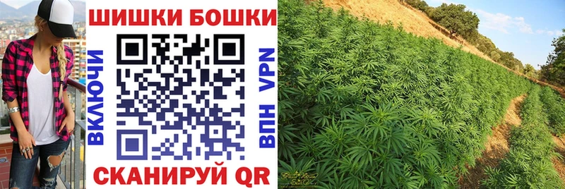 Бошки Шишки план  Купить  Биробиджан 